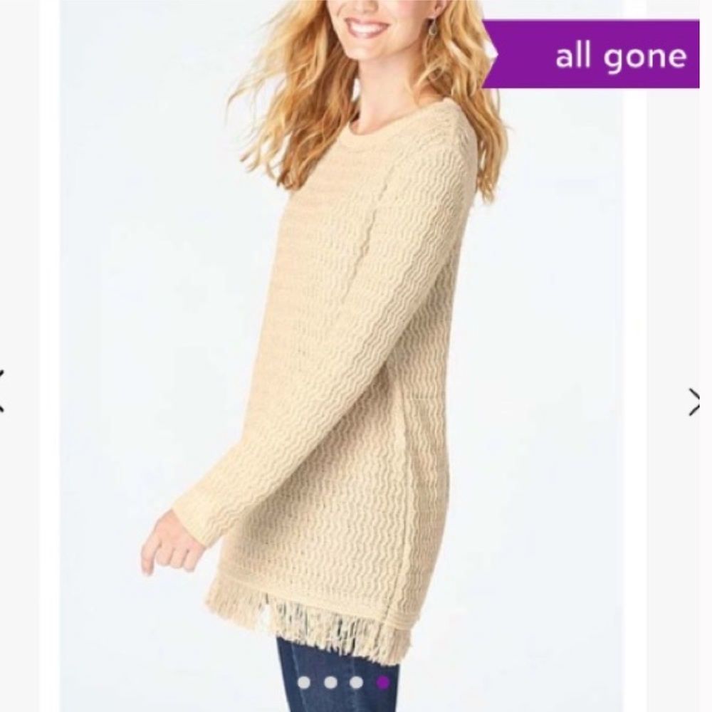 J. Jill Oatmeal Fringe Sweater Tunic